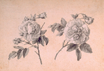 Load image into Gallery viewer, Anne&#39;s Roses
